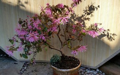 First Open Studio of 2018 is Saturday — May 5th and Sunday — May 6th