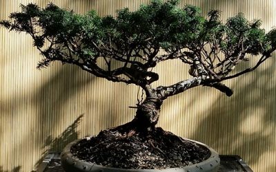 Portland Open Studio Event –Sunday, July 29th, 11:00AM to 4:00PM