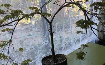 Our Next Adventure– Portland Open Studios!