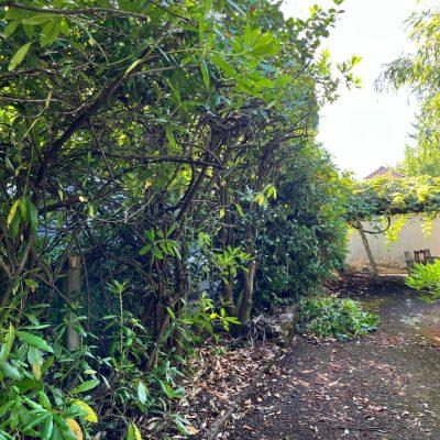 Jeanne’s Garden Care