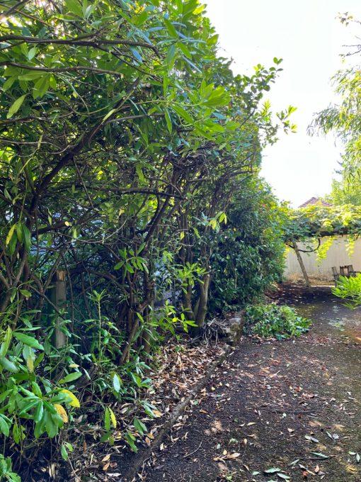 Jeanne’s Garden Care