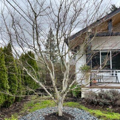 Kylan’s Garden Care— Vancouver