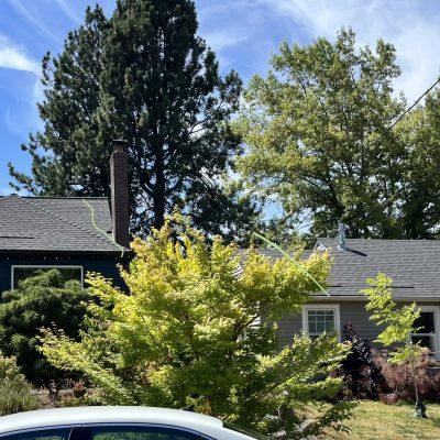 Barbara’s Tree Care