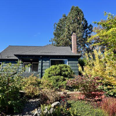 Barbara’s garden Care— NE Portland